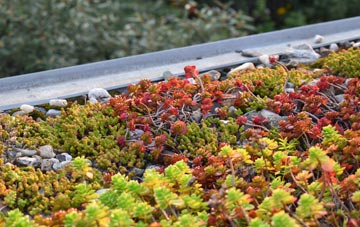the cost of Leburnick green roof installation
