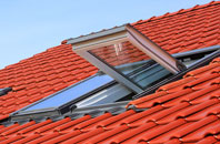 Leburnick roof window