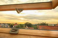 rated Leburnick roof window companies